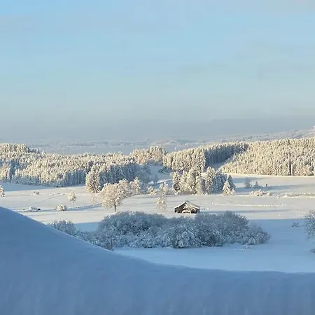 Gennachblick 1 Im Allgaeu Bidingen