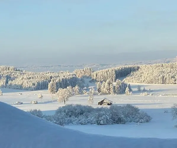 Gennachblick 1 Im Allgaeu Bidingen